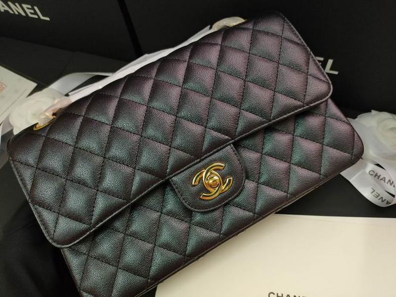 Chanel Handbags 310